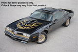 1/10 Lexan Clear RC Car Body Shell for 1977 PONTIAC FIREBIRD  WT200mm