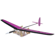 The AG4XXXX SPECTRE I Soaring Thermal DLG Glider